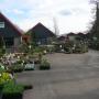 Visser Plant Boomkwekerij