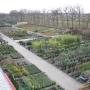 Visser Plant Boomkwekerij