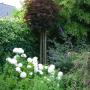 Visser Plant Boomkwekerij