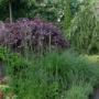 Visser Plant Boomkwekerij