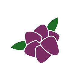Maatschap Optiplant