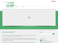 Ostra International Projects Bv