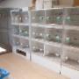 Baloeke Pets en Co