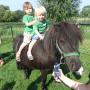 Kinderdagverblijf en buitenschoolse opvang Boerderij De