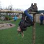 Kinderdagverblijf en buitenschoolse opvang Boerderij De