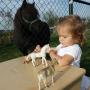 Kinderdagverblijf en buitenschoolse opvang Boerderij De