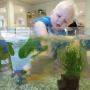 Kinderdagverblijf en buitenschoolse opvang Boerderij De