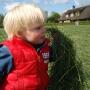 Kinderdagverblijf en buitenschoolse opvang Boerderij De