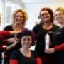 Studio Care 4 Hair