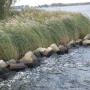 Waterwerken de Rijk BV