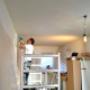 Plafond stucen
