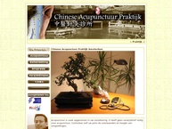 Woentjoen Lie Arts-Acupuncturist