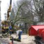 Verkleij Hovenier & Boomverzorging