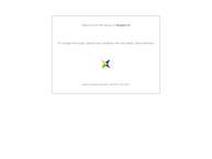 Dsignit