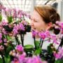 Orchids 4All BV