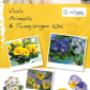 Florensis Cut Flowers BV