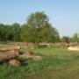 Houthandel Nijweide