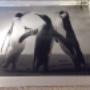 Spiegel gravure pinquins