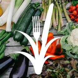 Landzicht Biologisch Groentenabonnement