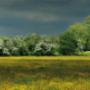 Vereniging Nederlands Cultuurlandschap