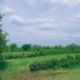 Vereniging Nederlands Cultuurlandschap