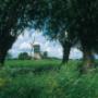 Vereniging Nederlands Cultuurlandschap