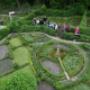 Vereniging Nederlands Cultuurlandschap