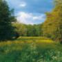 Vereniging Nederlands Cultuurlandschap