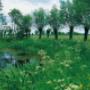 Vereniging Nederlands Cultuurlandschap