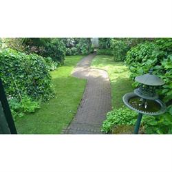 Acupunctuur Voorburgseweg
