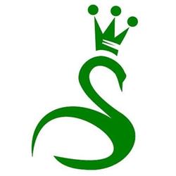 Stichting De Groene Zwaan