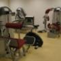 Fysiotherapie en Manuele Therapie Swart en Pruijssers