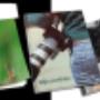 Lightroom Fotoalbums