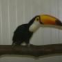 Animal Trading Company BV
