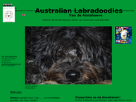 Australian Labradoodles van de Annahoeve