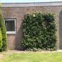 Goedschoon Specialistische Reiniging VOF