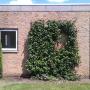 Goedschoon Specialistische Reiniging VOF