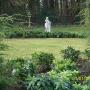 Beswerda Tuinonderhoud Wietse