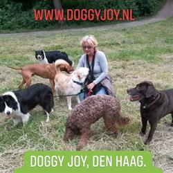 Hondenuitlaatservice Doggy Joy