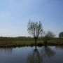 weids uitzicht op de dijk