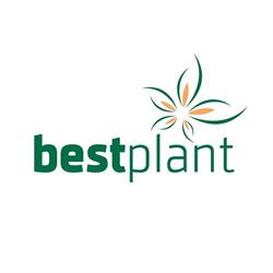 Bestplant