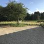 landschapstuin