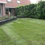 Groenbouw Hoveniersbedrijf