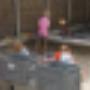 Wilhelminaschool