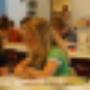 Wilhelminaschool