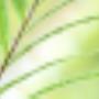 Ente Gonnie Praktijk voor Klassieke Homeopathie