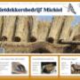 Rietdekkersbedrijf Michiel