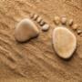 Consonant Mediation Coaching & Training