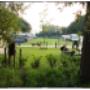Camping 't Laageind