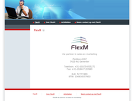 FlexM